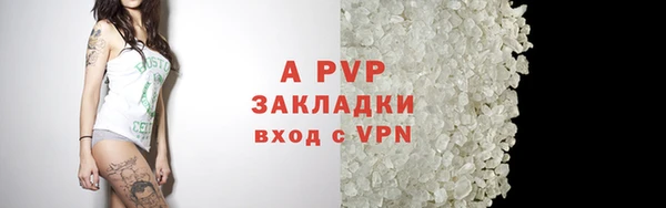 тгк Белокуриха