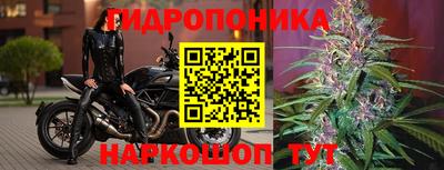 гидра Ликино-Дулёво