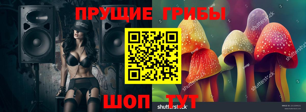 Галлюциногенные грибы Magic Shrooms  где купить наркоту  Галлюциногенные грибы MAGIC MUSHROOMS  Острогожск  Вход с VPN 